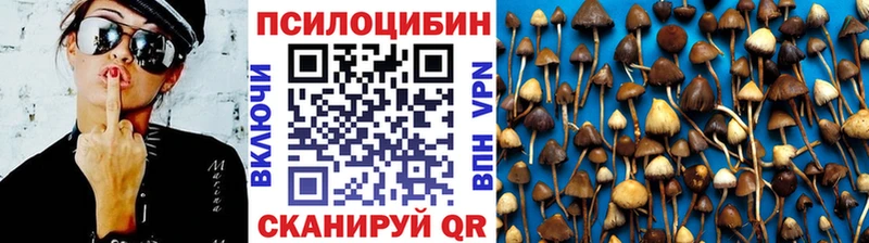 сколько стоит  Щёлкино  Псилоцибиновые грибы мухоморы 