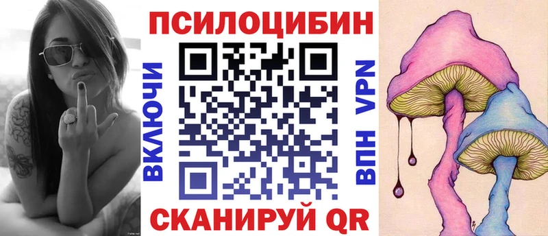 Псилоцибиновые грибы Cubensis Щёлкино